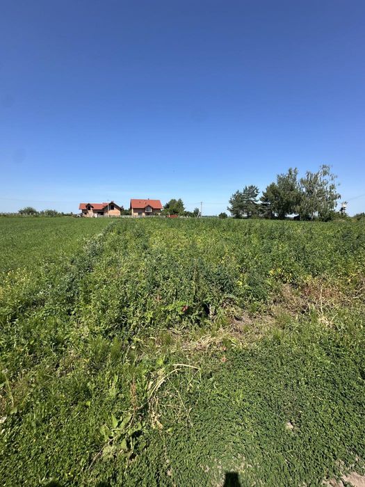 Продаж земельної ділянки с.Кошелів