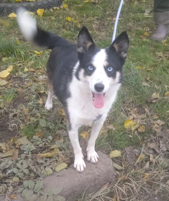 Неймовірно активна