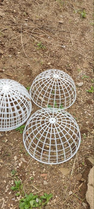 3 Esferas 50 cm galinhas