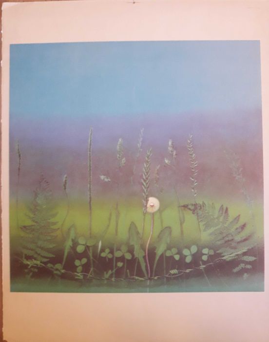 Profesor Lucjan Mianowski autooffset Łąka PWSSP UA Poznań ASP Kraków