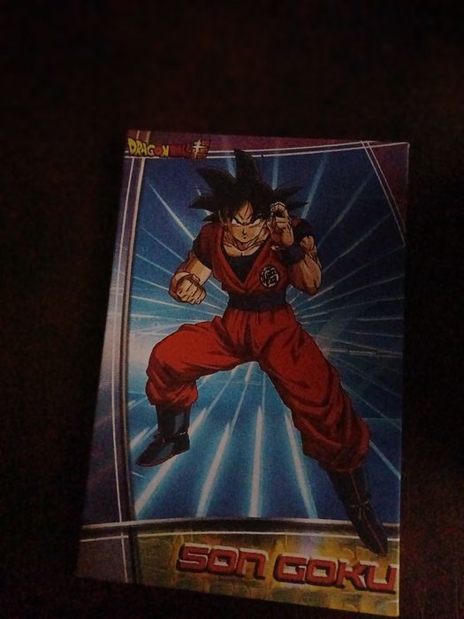 Bonito Quadro Son Goku