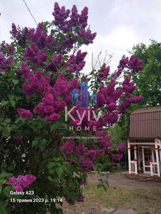 Продаж Будинок у лісі біля Києва — газ, каналізація, готовий для життя