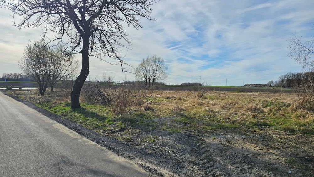 Sprzedam działkę budowlaną w Mrowinie z pozwoleniem na budowę - Widok 3