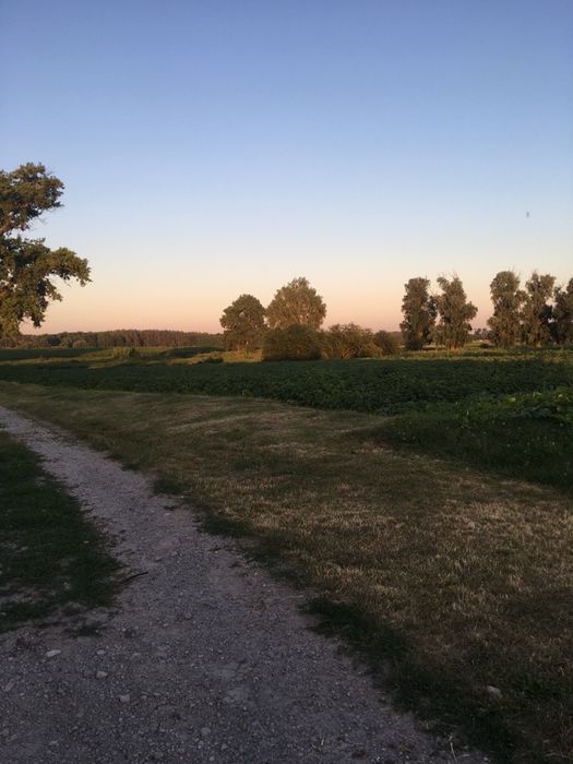 Продам ділянку с.Русанів