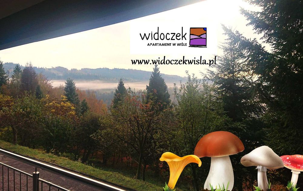 Wolna Majówka w górach Wisla Apartament Widoczek noclegi wolne terminy