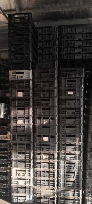 Vendo caixas de fruta com muito pouco uso