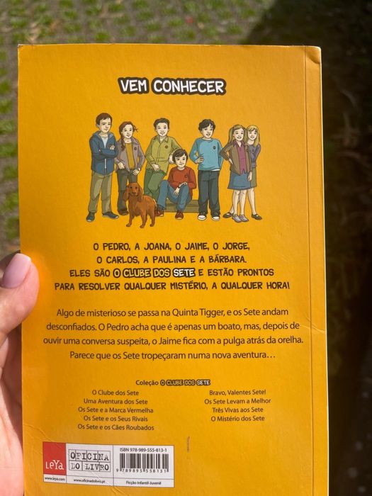 Os sete e os seus rivais