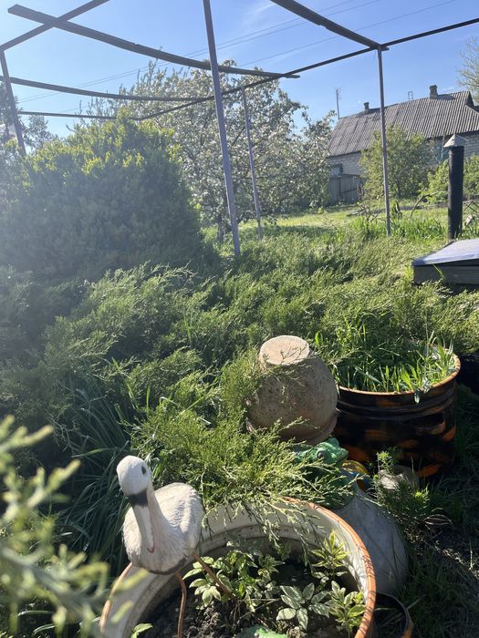 Продаж будинку в м. Верхівцеве СЕРТИФІКАТ Дніпропетровська область