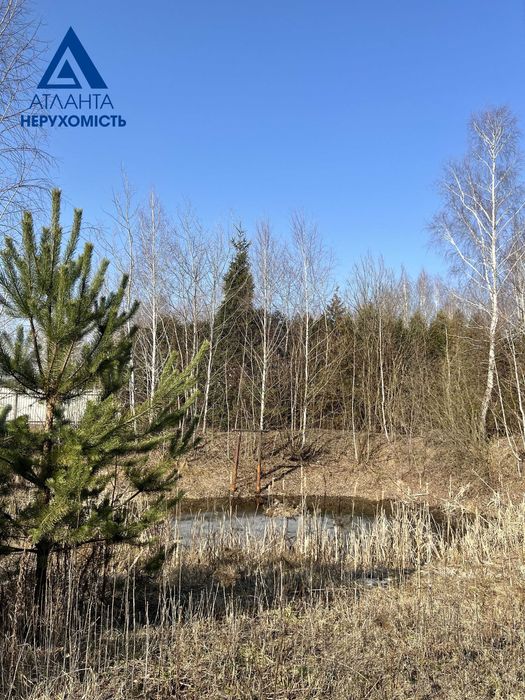 Пропонуємо до продажу 2 суміжні земельні ділянки  в селі Озерце.