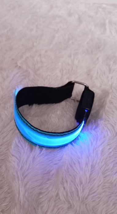 Led лед ошейник для собачки ціна за 2 шт