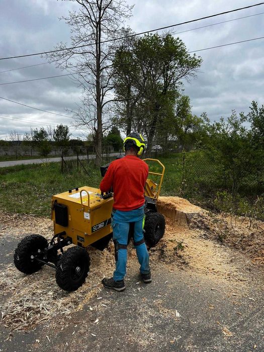 Frezowanie usuwanie pni korzeni karp usługa frezarką wycinka rębak