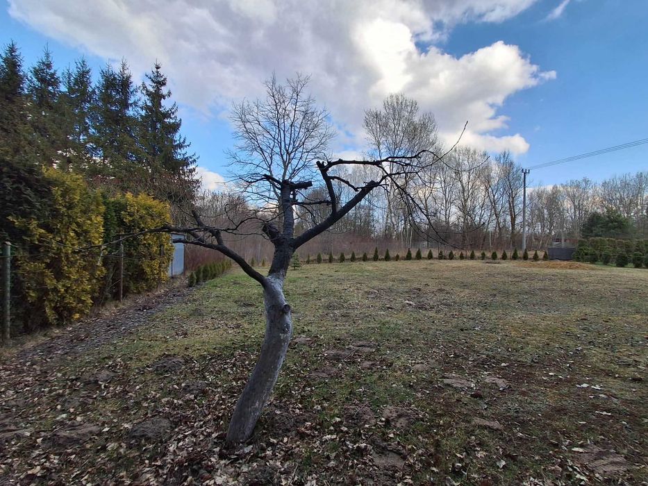 działka budowlana położona pod Radzyminem w miejscowości Arciechów 706 m² - Widok 6