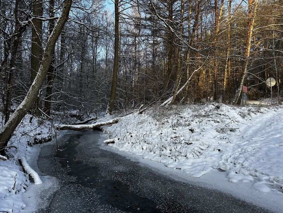 Działka budowlana ok 1000m2 w sercu Borów Tucholskich