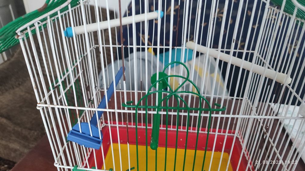 Клітка для папуг