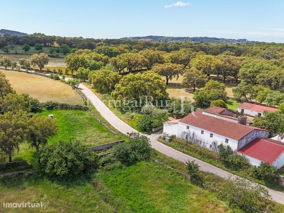 10-Hectare Estate with Approved Project for Two Residences in Marvão