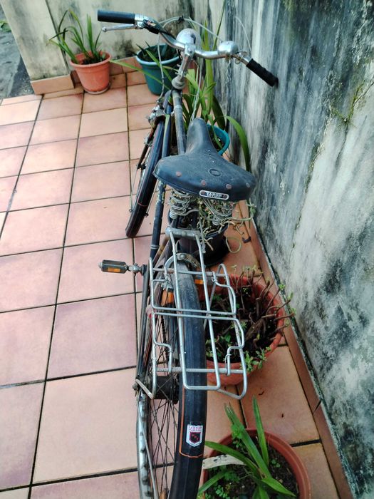 bicicleta pasteleira