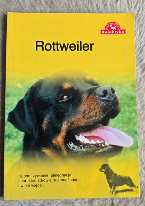 Pies na medal. Rottweiler