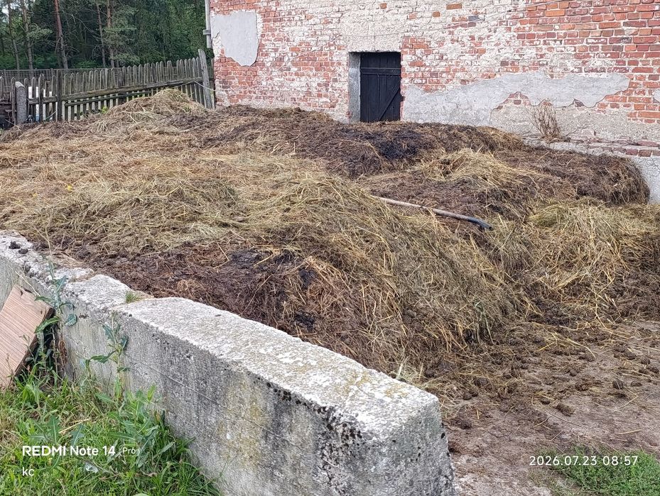 Koński obornik sprzedam lub zamienię
