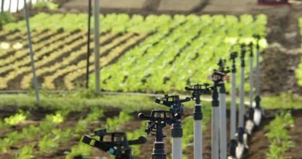 Tubos de rega agrícola e aspersores ( troca por roçadora a gasolina ) ou por máquina corta relva a gasolina.