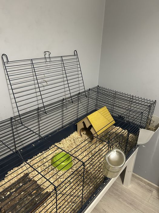 Klatka dla świnki morskiej 120cm