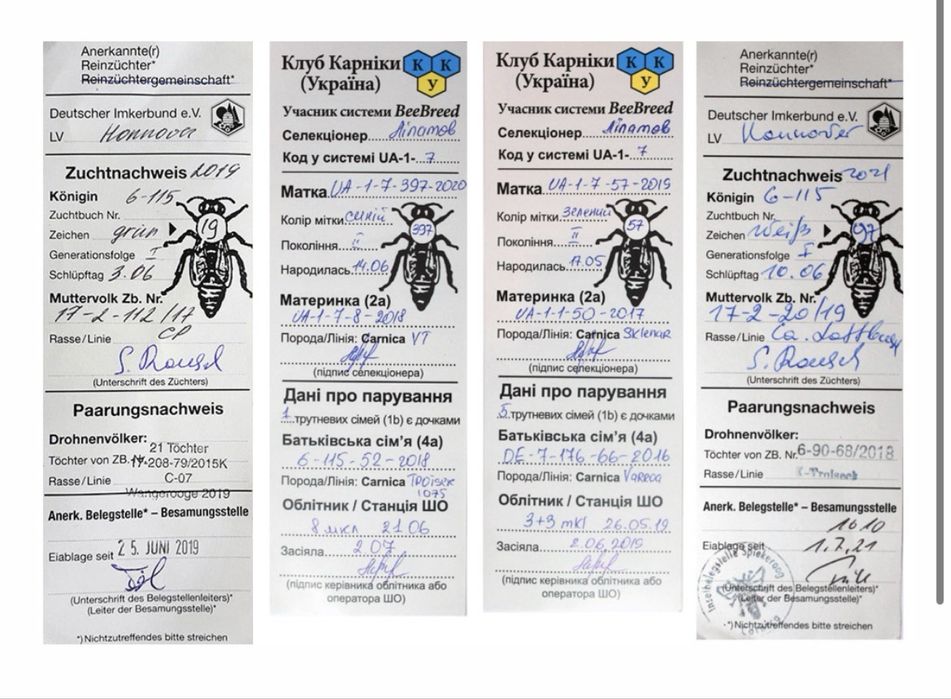 Подам матки карніка