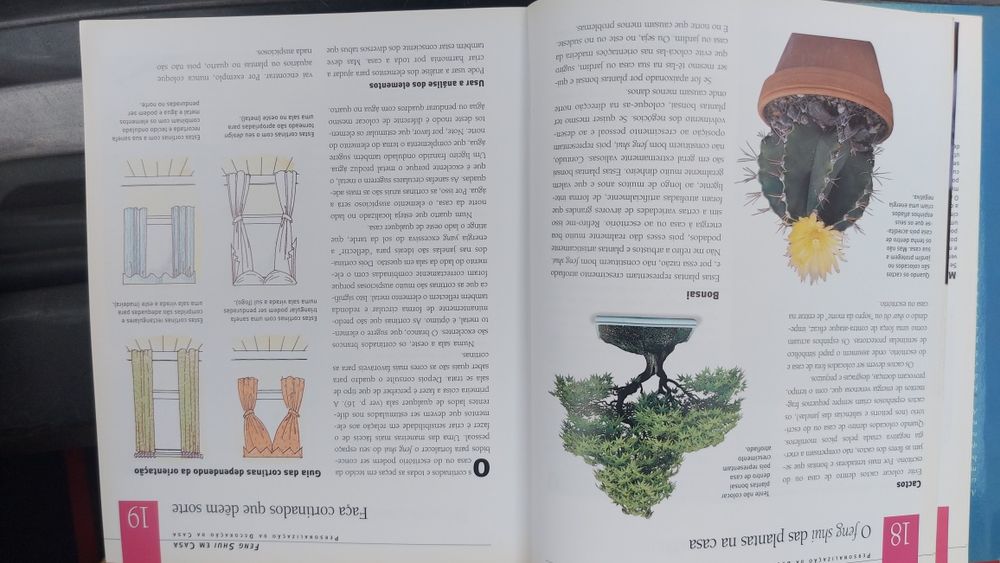 Guia Prático de Feng Shui de Lillian Too