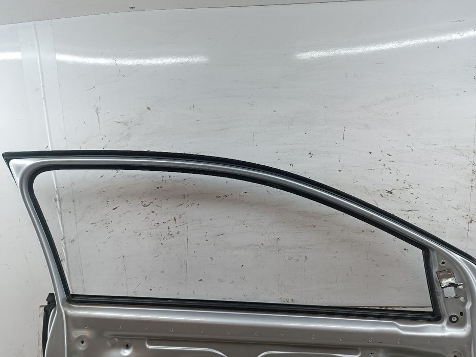 Porta Frente Esquerda - VOLKSWAGEN Polo (6R1, 6C1) | 09 -