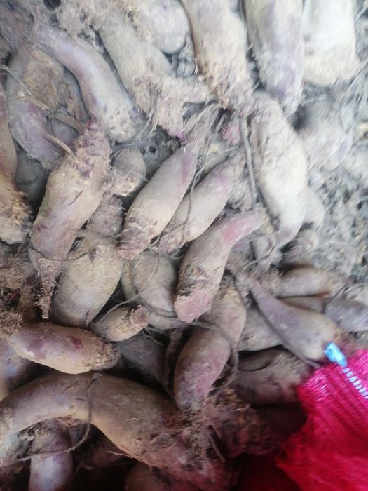 10 kg marchew 10kg burak  rolnika wysyłka 
Wysylka paczkomat inpost. 
Aukcja w tej lokalizacji dotyczy tylko wysyłki odbiór osobisty 28-530 skalbmierz