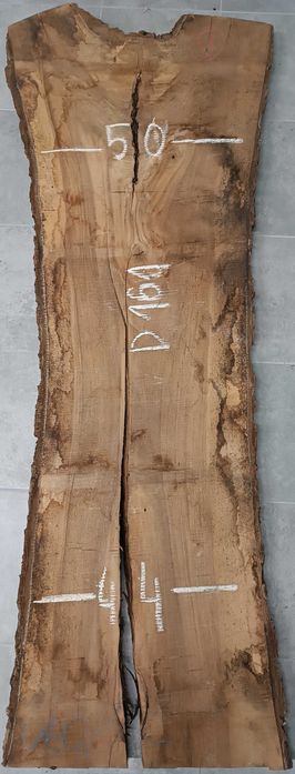 Deski Orzech Po Suszarni 5.7cm grubość