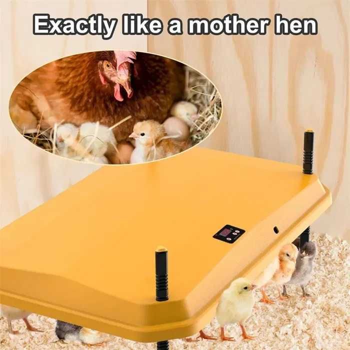 Aquecedor Elétrico para Aves