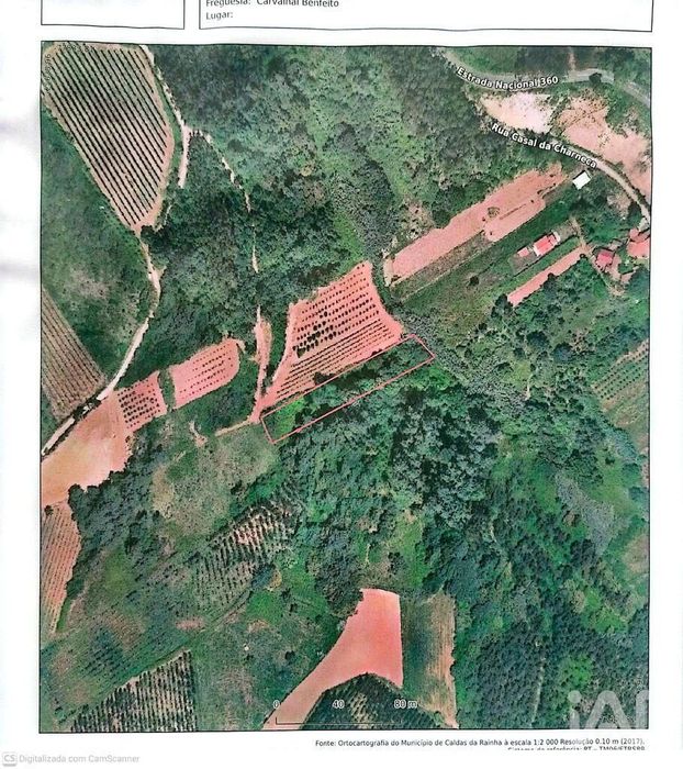 Agricultural Land in Carvalhal Benfeito