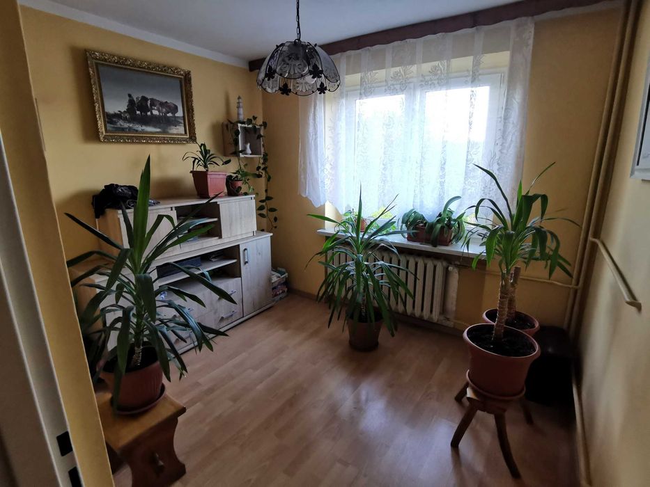 Zdjęcie 5