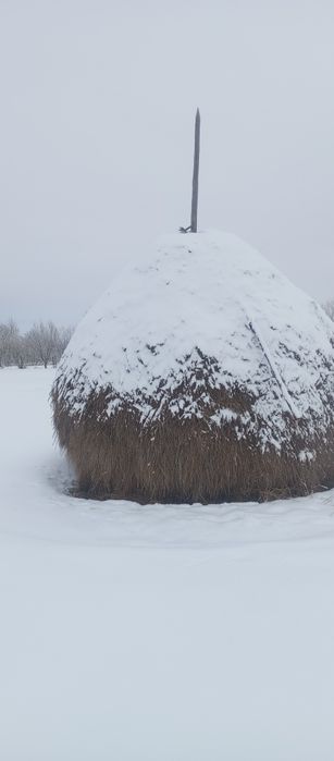 Продається сіно в копиці