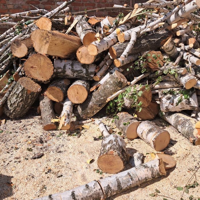 Дрова Берёза Колиті