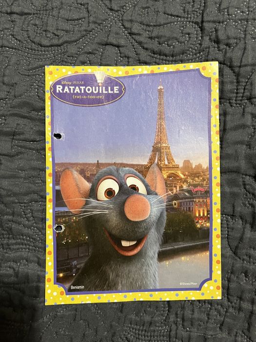 karteczki do segregatora ratatuj