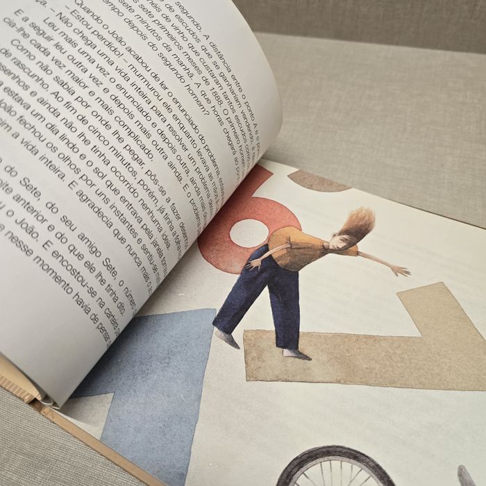 Livro  Maldita Matemática