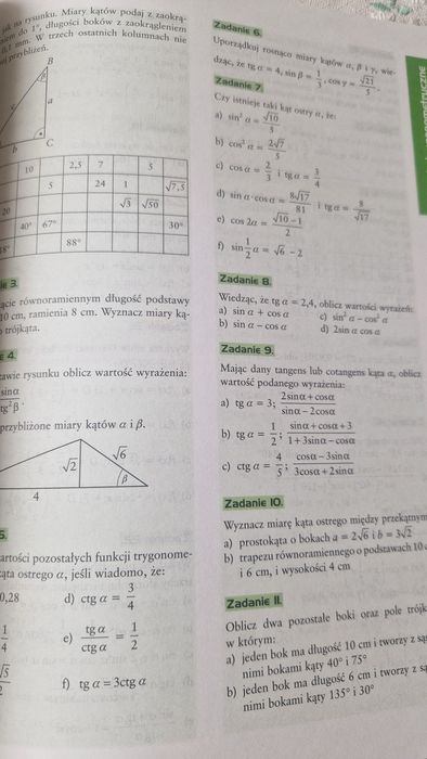 Paszport maturzysty.  Matematyka.  Miziołek, matura, Eremis
