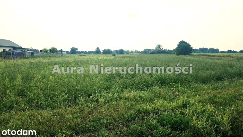 Działka NA Sprzedaż GÓRSK koło Torunia - Widok 3