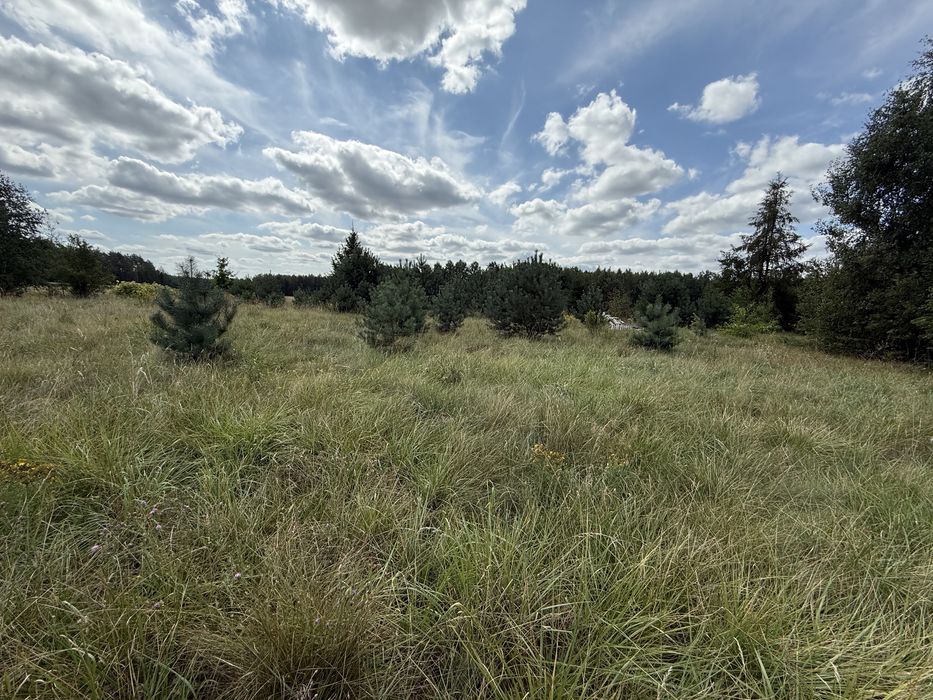 Działka 3000m Wojszki