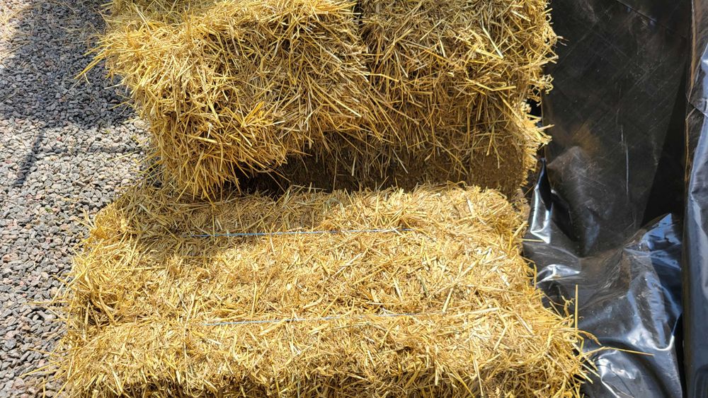 Продам тюки ячної соломи