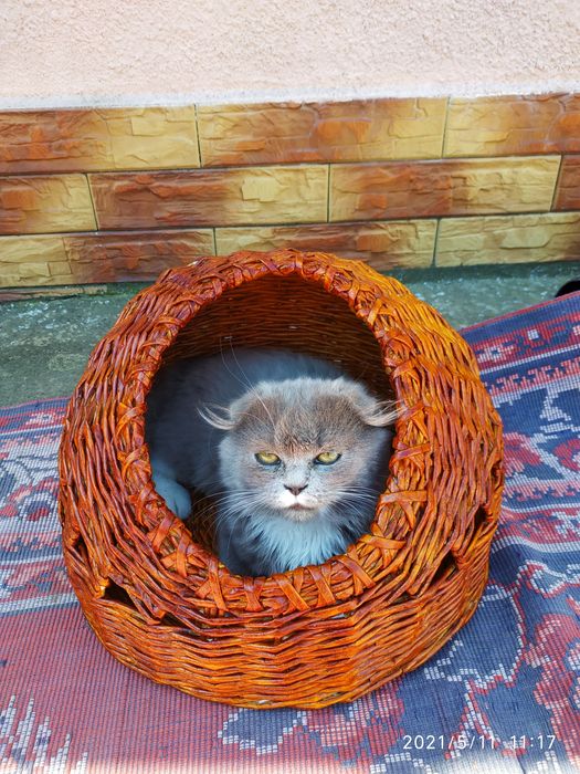 Лежак для кошечки