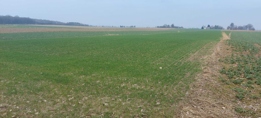 Sprzedam działkę budowlaną z gruntami rolnymi (pole, łąkę, las)