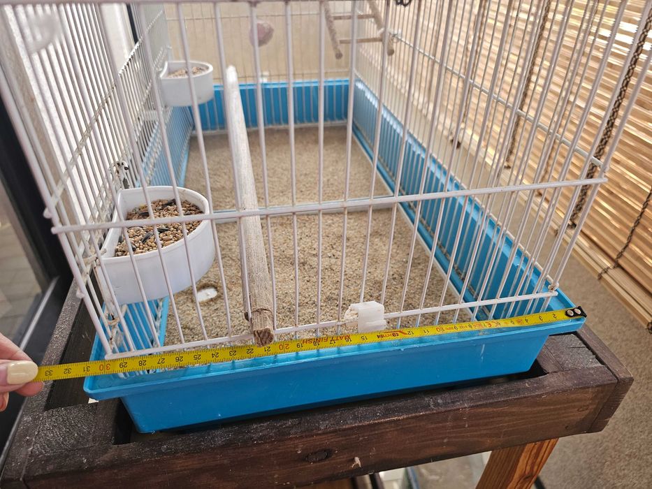 4 Agapórnis + gaiola