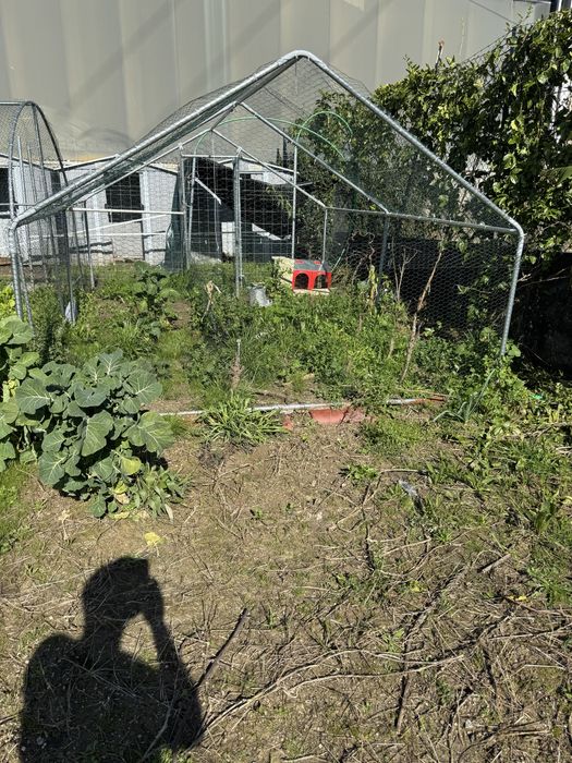 Jaula 4 m para animais ao ar livre