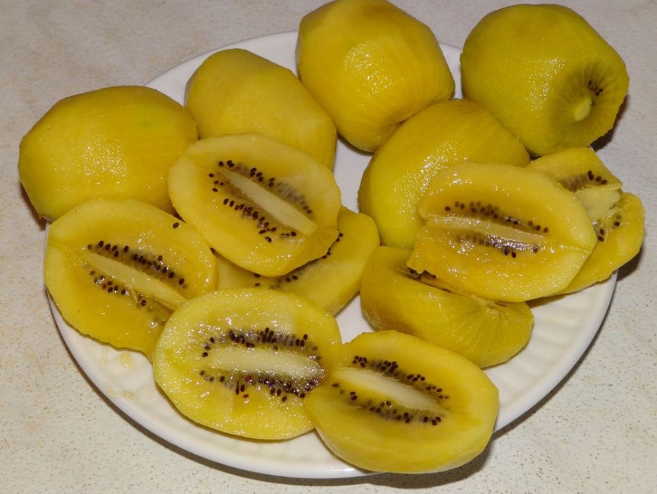 Kiwi Amarelo - MUITO DOCE   Apenas envios