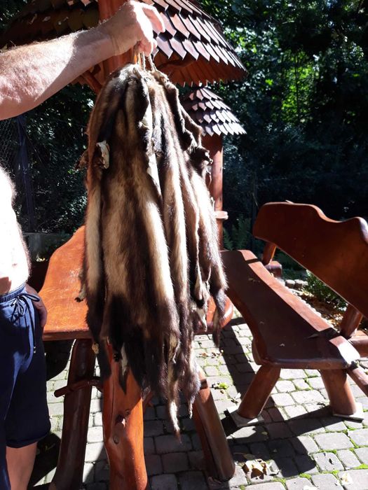 Skóry z tchórza wyprawione, naturalne