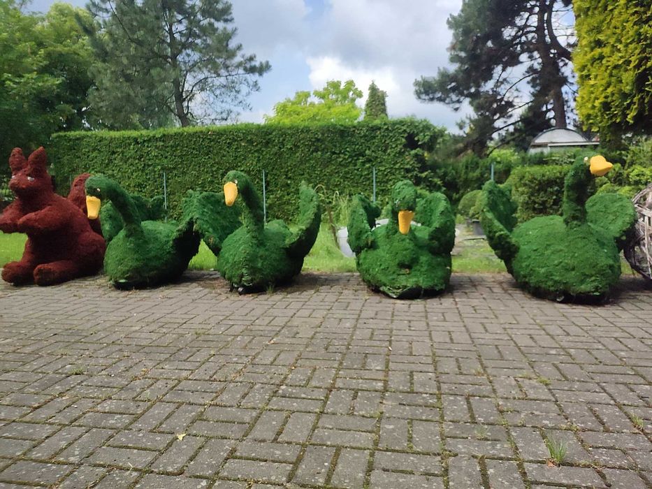 Rzeźby z roślin łabędzie wysokość 1.2M