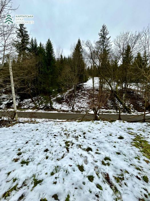Земельна ділянка поруч з туристичним комплексом Озера Віта  Закарпаття