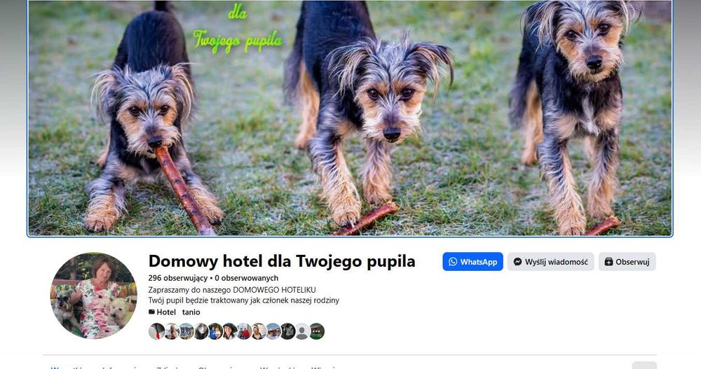 Domowy hotel dla psa - Świebodzin