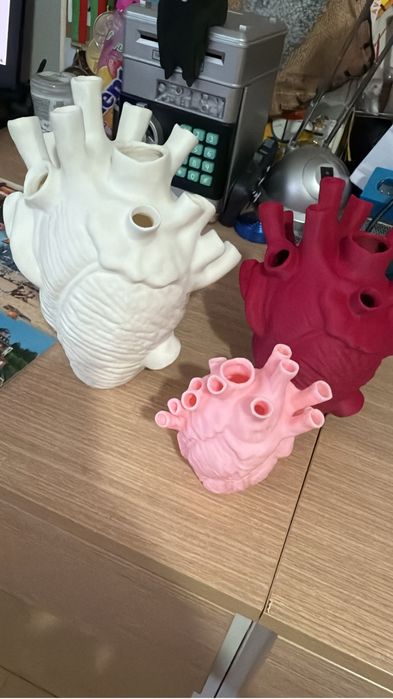 Vasos/ jarras coração humano anatómico